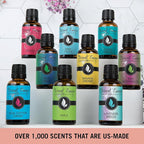 Eternal Essence Oils Island Getaway Set of 6 Premium Fragrance Oils - Includes Barrier Reef, Mountain Meets The Ocean, Beautiful Day, Caribbean Escape, Mermaid, and Honolulu Sun Hype - 10ML