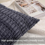 Aegero Pack of 2 Corduroy Decorative Throw Pillow Covers 16x16 Inch Soft Striped Pillow Covers Modern Farmhouse Home Decor for Sofa Living Room Couch Bed（Dark Grey）