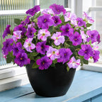 6 Pcs Artificial Petunia Flowers for Outdoor, Fake Spring Petunias Faux Silk Flowers for Outdoors UV Resistant Plants for Planters Garden Porch Patio Window Box Indoor Table Decor(Double Purple)