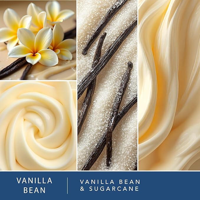 Scentsationals Scented Wax Cubes - Vanilla Bean - Fragrance Wax Melts Pack, Electric Home Warmer Tart, Wickless Candle Bar Air Freshener, Spa Aroma Decor Gift - 10oz (24-Cubes)