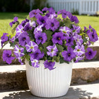 6 Pcs Artificial Flowers Fake Petunias for Outdoors, Faux Flowers for Outdoor Planter, UV Resistant Realistic Fake Plants for Outside No Fade for Garden Porch Patio Indoor Room Decor(Purple)