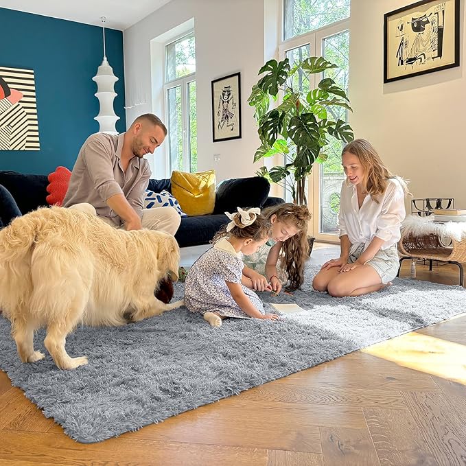 OLANLY 6x9 Machine Washable Large Area Rugs for Living Room, Bedroom, Soft Fluffy Shaggy Bedside Rug, Indoor Floor Carpet for Kids Girls and Boys, Dorms, Nursery, Home Decor, Silver Grey