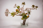 WGV Cylinder Vase Bulk, Diameter 5", Height 6", Clear Glass Floral Planter Container, Floating Candle Holder for Wedding Party Event Home Office Decor, 6 Pieces