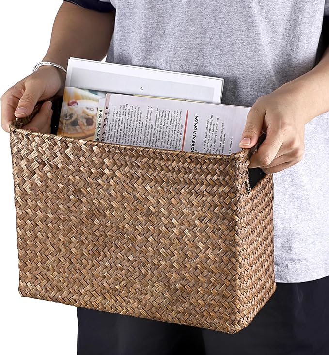 BTSKY Magazine Basket, Mail Basket for Counter, Woven Storage Bin with Metal Rack & Handle for Files, Books, Newspapers, Desktop Organizer for Office, Living Room, Dorm, Bathroom, 12"x5.7"x8.7"