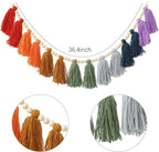 DCJHFJ Boho Tassel Garland Wall Hanging with Wood Beads Colorful Tassel for Kids Room Bedroom Classroom Nursery Dorm Decorations