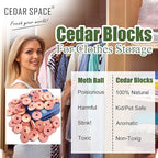 Cedar Space Cedar Blocks for Clothes Storage 100% Natural Aromatic Red Cedar Rings 54Pcs Protection for Wardrobes Closets and Drawers