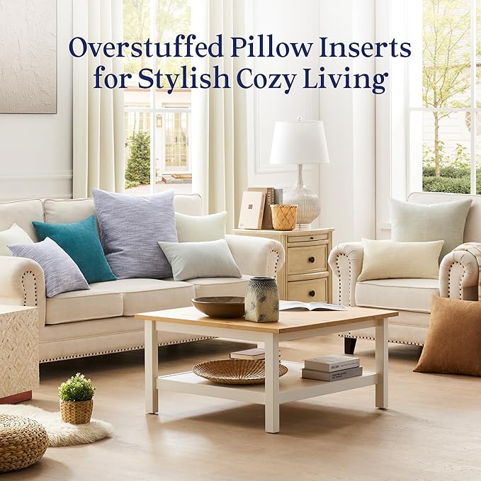 puredown® 16x16 Pillow Inserts Set of 2, Overfilled Down Alternative Decorative Pillows with 100% Cotton Cover, Plush Fluffy Throw Pillows for Couch, Sofa, Bed and Home Decor