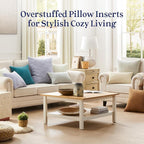 puredown® 20x20 Pillow Inserts Set of 2, Overfilled Down Alternative Decorative Pillows with 100% Cotton Cover, Plush Fluffy Throw Pillows for Couch, Sofa, Bed and Home Decor