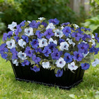 6 Pcs Artificial Flowers Fake Petunias for Outdoors, Faux Flowers for Outdoor Planter, UV Resistant Realistic Fake Plants for Outside No Fade for Garden Porch Patio Indoor Room Decor(Blue)