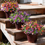 INQCMY Artificial Flowers for Outdoors Faux Plants Fake Flowers Spring Summer Decoration,12 Bundles Faux Silk Colorful Daisy Realistic UV Resistant for Outside Home Planter Window Porch Patio Yard