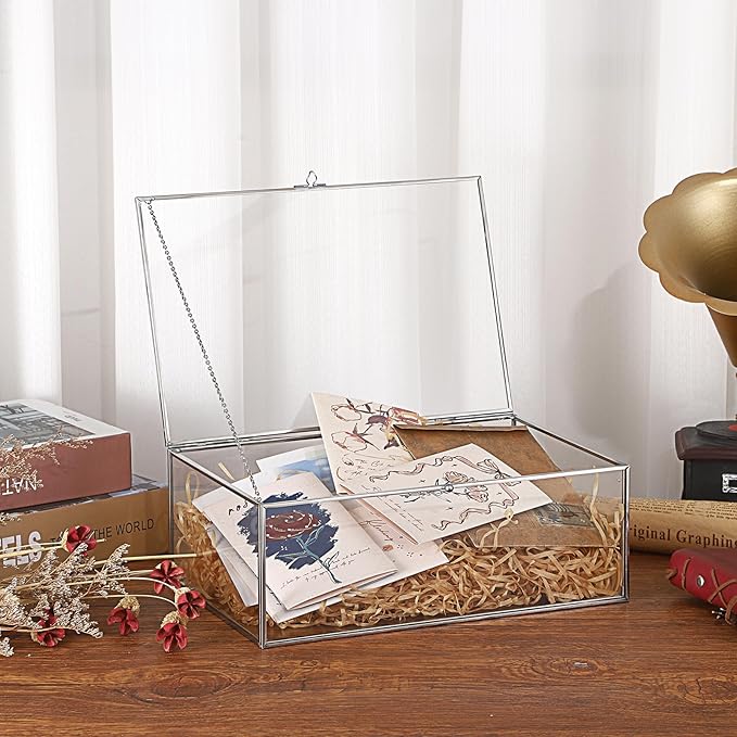 Hipiwe Vintage Silver Rectangle Jewelry Display Organizer Box with Lid, X-Large, USSN202312DUH