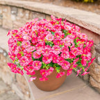 Fake Plants Artificial Flowers for Outdoor Outside Decor, 12 Bundles Faux Flowers Silk Hot Pink Morning Glory with Eucalyptus Look Real UV Resistant Faux Greenery for Planter Front Door Porch Patio