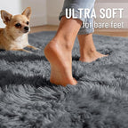 OLANLY 6x8 Machine Washable Large Area Rugs for Living Room, Bedroom, Soft Fluffy Shaggy Bedside Rug, Indoor Floor Carpet for Kids Girls and Boys, Dorms, Nursery, Home Decor Aesthetic, Grey