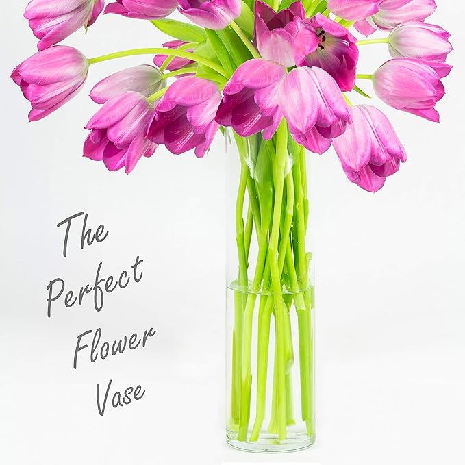 CYS EXCEL Glass Cylinder Vase (H:24" D:5") | Multiple Size Choices Glass Flower Vase Centerpieces | Hurricane Floating Candle Holder Vase