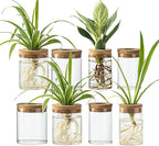 Glass Propagation Stations for Plants -Desktop Flower Vases,Propagation Flower Vases Set – 2 Large & 2 Small for Plant Cuttings，for Living Room, Bedroom Decoration,Home,Office Decor (8)
