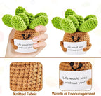 DAFURIET Mini Funny Crochet Succulent, 3 inch Knitted Wool Doll with Card for Cheer Up Gifts and Party Decorations, Cute Wool Crochet Doll for Mother’s Day Easter Birthday Gifts (Succulent Plant)