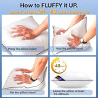 Siluvia 22"x22" Pillow Insert Set of 2 Square Throw 22 Pillows with 100% Cotton Cover for Sofa, Couch, and Bed - White