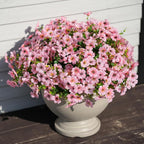 24 Bundles Artificial Flowers for Outdoor Realistic Faux Flower Spring Summer Garden Home Decoration, Hanging Daisy with Eucalyptus Leaves Fake Plants Greenery Balcony Porch Patio Front Door Decor