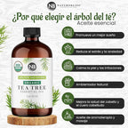 NaturoBliss Organic Tea Tree Essential Oil, 100% Pure Therapeutic Grade, Premium Quality Tea Tree Oil, 1 fl. Oz / 30 ml - Perfect for Aromatherapy and Relaxation (Tea Tree, 30ml)