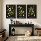 Large Vintage Framed Botanical Wall Art for Living Room, 3 Piece Dark Green Plant Canvas Paintings Prints, Retro Coffee Botanical Leaf Pictures for Dining Room Coffee Bar Kitchen Wall Decor, 24x36 In