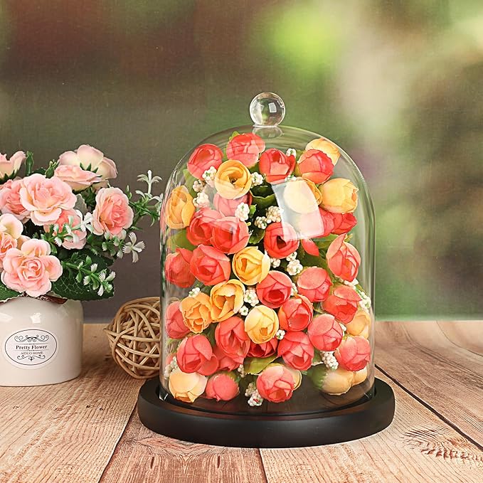 JUXYES Glass Display Dome Cloche with Wood Base, Clear Glass Dome Cloche Bell Sphere Jar Snow Globe Kit, Snowglobe Cloche Bell Jar Display for Fairy Light Plant Collectible Figures