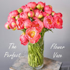 CYS Excel Glass Cylinder Vase (H:14" D:5") | Multiple Size Choices Glass Flower Vase Centerpieces | Hurricane Floating Candle Holder Vase