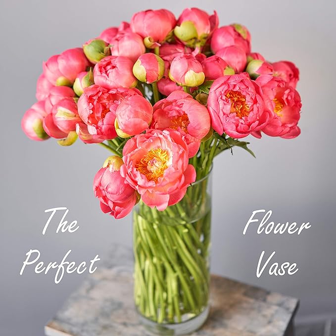 CYS Excel Glass Cylinder Vase (H:14" D:5") | Multiple Size Choices Glass Flower Vase Centerpieces | Hurricane Floating Candle Holder Vase