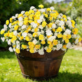 Artificial Flowers for Outdoors Decoration, 6 Bundles Silk Marigold Flower UV Resistant Look Real Faux Plants for Garden Porch Planter Patio Balcony Yard Home Decor (Yellow White)