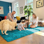 OLANLY 5x8 Machine Washable Large Area Rugs for Living Room, Bedroom, Soft Fluffy Shaggy Bedside Rug, Indoor Floor Carpet for Kids Girls and Boys, Dorms, Nursery, Home Decor Aesthetic, Teal