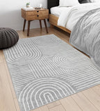 Lahome Abstract Area Rug 5x7,Soft Washable Rugs for Living Room Ultra-Thin Non Slip Gray Rugs for Bedroom, Throw Rug Carpet for Dining Room Office Playroom(5'x7',Gray)