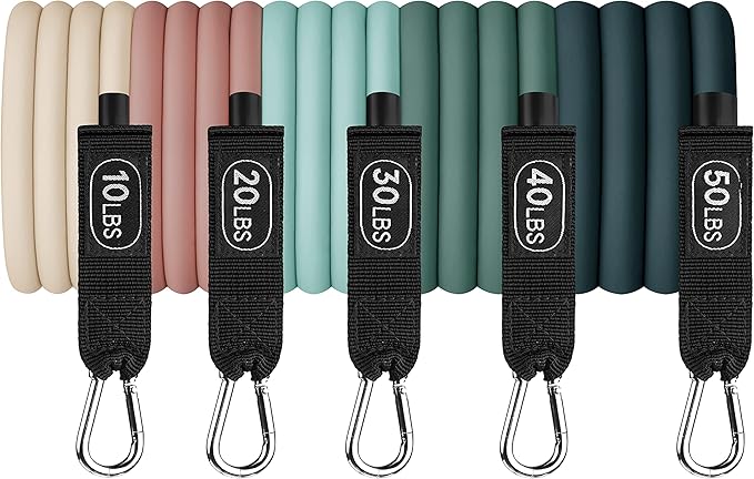 Retrospec Train Resistance Bands Set for Working Out - 5 Stackable Bands, Handles & Door Anchor - Portable Fitness Equipment for Physical Therapy & Yoga Includes Carry Bag