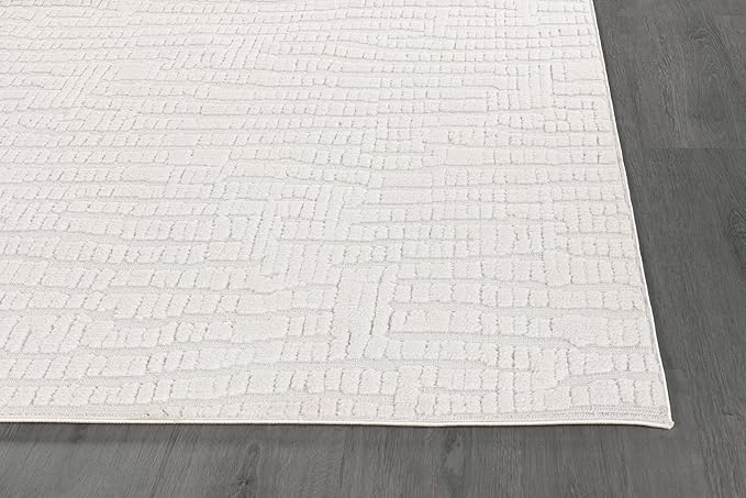 Modern Micro Loop Indoor Area Rugs for Living Room Bedroom Kitchen Geometric Pebble White 5x7 Luxury Durable Low and High Pile Non-Shedding Stain Resistant Soft Area Carpet 5 x 7