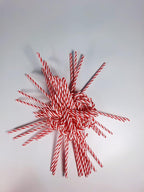 50 Pcs Christmas Candy Canes 5.9 inch Plastic Christmas Tree Hanging Ornaments Twisted Red White Crutch Candy Canes for Xmas Home Indoor Outdoor Party Decoration (red White)
