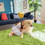 OLANLY 2x3 Machine Washable Small Bedside Rug, Soft Fluffy Shaggy Entryway Throw Rugs for Bedroom, Living Room, Indoor Floor Carpet for Kids Girl Boy, Nursery Rooms, Home Decor Aesthetic, Grass Green