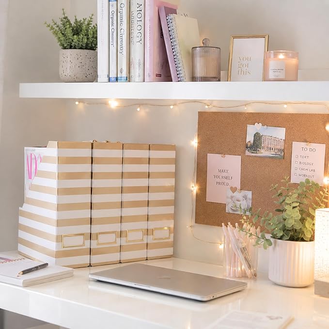 BLU MONACO | Cardboard Magazine File Holder Set of 4 Gold White Stripes | Vertical Magazine File Holder with Label Slots | Standing File Holder and Cardboard Bins for Shelves Desk Classroom