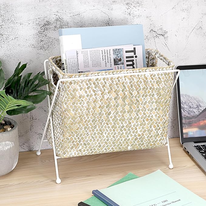 BTSKY Handwoven Magazine Holder, Natural Seagrass Magazine Basket with Metal Rack, Mail Holder Floor Organizer for Office, Living Room, Dorm, Bathroom, Woven Rattan File Basket with Handle (White)