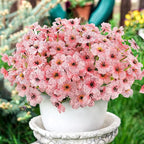 MACTING Artificial Flowers for Outdoors 12 Bundles Fake Flowers UV Resistant Faux Plastic Plants No Fade for Hanging Planters Window Patio Porch Garden Home Indoor Outside Decorations,Pink