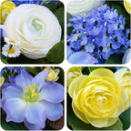 24 Inch Spring Wreath for Front Door, Artificial Hydrangea, Anemone & Wild Daisy Flowers with Berry Accents, Spring and Summer Door Wreath for Indoor Outdoor Decor