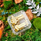 Tree Fairy Music Box, Unique Fairy-Tale Melody, Gold Tree Design,Clear Case, Enchanted Gift for Christmas, Birthday, Mother's Day, Wedding, Anniversary, Valentine's Day, Thanksgiving and Others