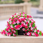 Artificial Flowers with Hanging Basket, Outdoor Faux Plants Silk Morning Glory Vines, Fake Green Arrangement for Garden Patio Spring Summer Decor(Hot Pink)