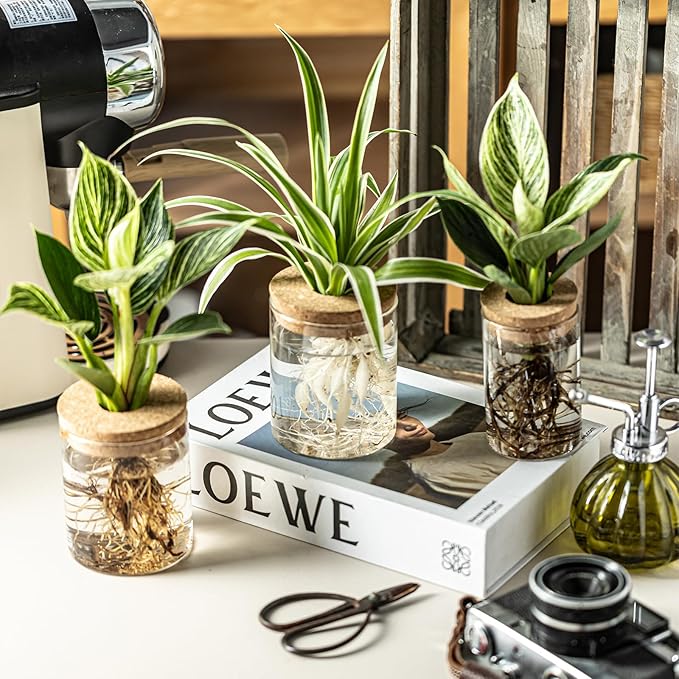 Glass Propagation Stations for Plants -Desktop Flower Vases,Propagation Flower Vases Set – 6 Large & 6 Small for Plant Cuttings，for Living Room, Bedroom Decoration,Home,Office Decor (12)