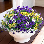 Artificial Flowers for Outdoor Faux Flower Spring Decoration, 12 Bundles Fake Plants Silk Daisy Bulk UV Resistant Realistic for Outside Porch Patio Balcony Planter Yard Garden Home Decor(Mixed 3)