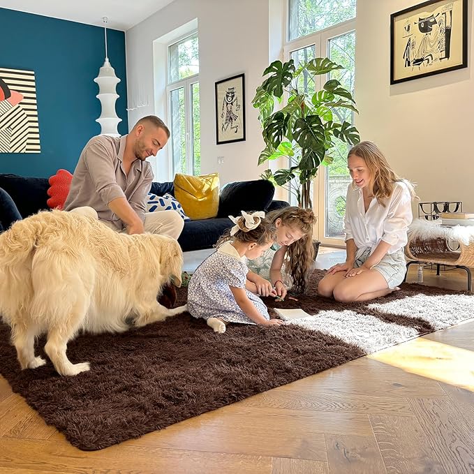 OLANLY 4x4 Machine Washable Accent Rug, Soft Fluffy Shaggy Area Rug for Bedroom, Living Room, Indoor Floor Carpet for Kids, Nursery, Home Decor, Coffee