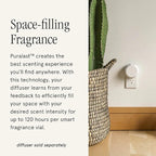 Pura & Brooklyn Candle Studio Home Scent Refill - Smart Air Diffuser - Up to 120-Hours of Luxury Fragrance per Refill - Home Essential - Clean & Safe Diffuser Fragrance - 2 Pack, Santorini