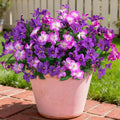 Fake Artificial Flowers for Outdoors 6 PCS Azalea Bouquet Silk Flowers for Outside UV Resistant Faux Flowers Plants for Outdoor Planters Realistic Spring Home Front Door Patio Garden Porch Decor