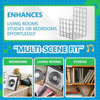 AceOrbit Metal Magazine Rack Holder, 304 Stainless Steel Metal Vinyl Record Stand Holder Record Book Stand Multipurpose Storage Display for Album Lps Magazine File Organizer Living Room Bedroom Office