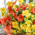 Fake Hibiscus Artificial Flowers for Outdoors Spring Summer Decoration, 6 Bundles Silk Hibiscus Flowers Bouquet UV Resistant Look Real Faux Plants for Outside Planter Front Door Porch Balcony, 2MixHC