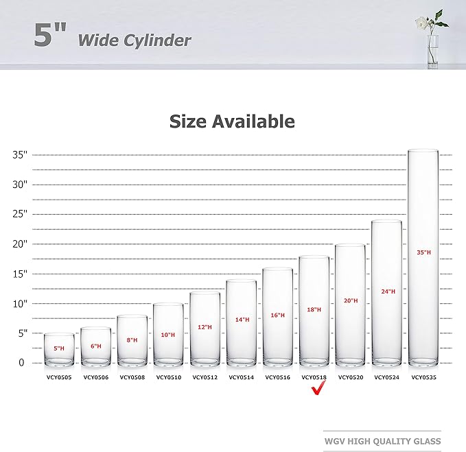 WGV Cylinder Vase Bulk, Diameter 5", Height 18", Clear Glass Floral Planter Container, Tall Centerpiece Arrangement for Wedding Party Event Home Office Decor, 6 Pieces