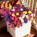 INQCMY Artificial Fake Flowers for Outdoor Spring Decoration,12 Bundles Faux Silk Colorful Morning Glory with Eucalyptus UV Resistant Realistic Fake Plants for Outside Planter Porch Patio Yard Garden