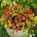 Artificial Flowers for Outdoor, UV Resistant Fake Silk Flowers, Realistic Faux Plants for Outside Indoor Porch Patio Window Box Planter Home Decor (16, Orange)